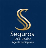 Inicio agenet